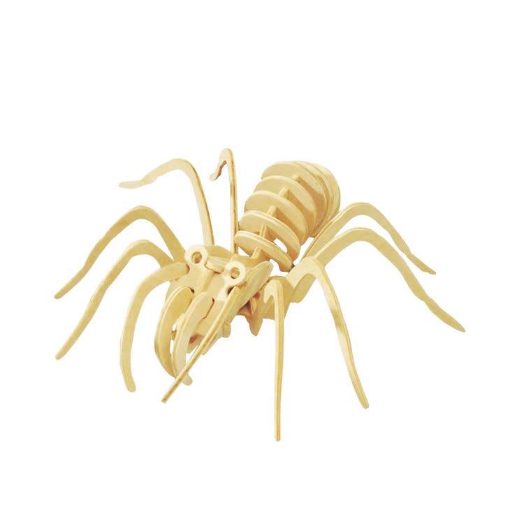 3D Wooden Spider Puzzle