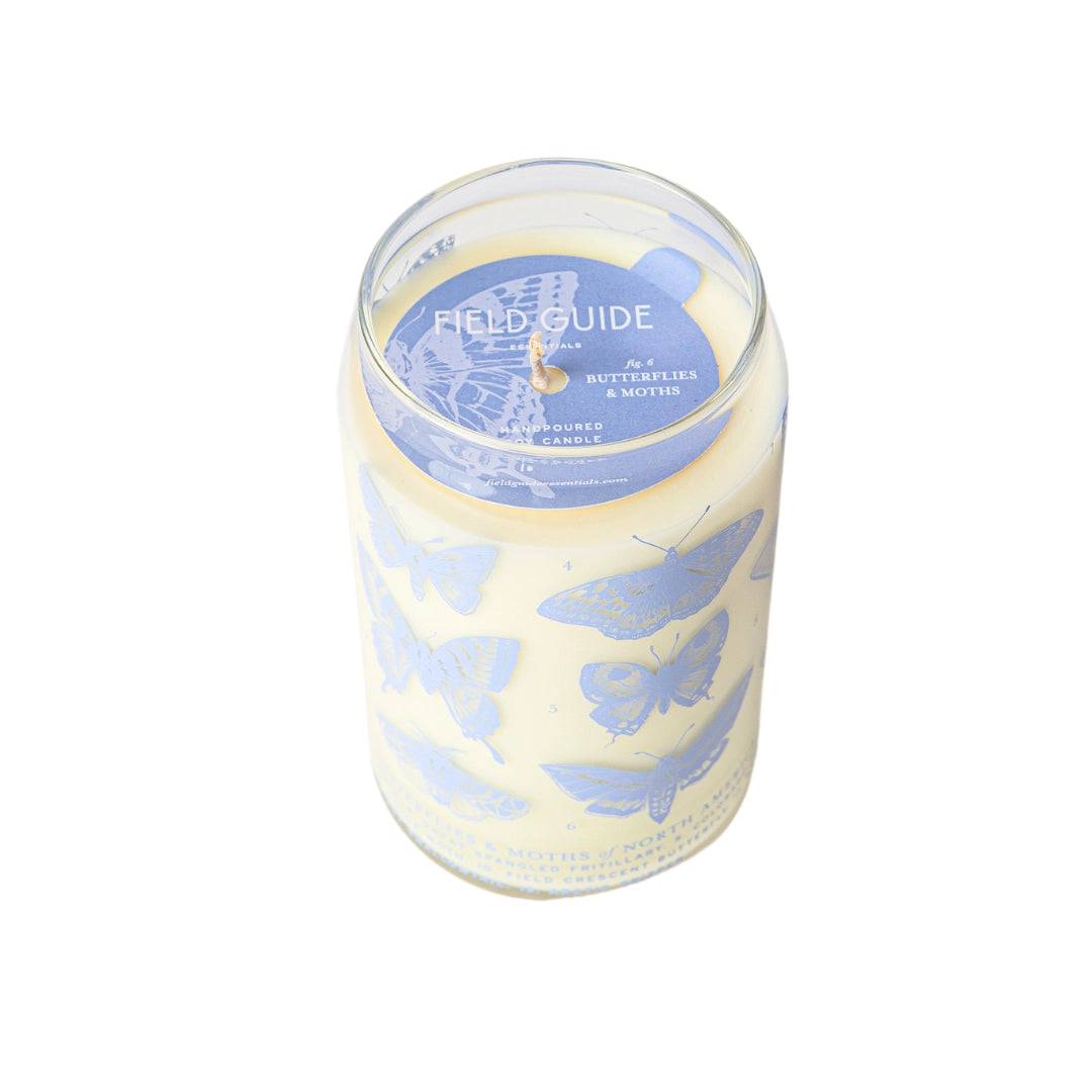 Moth and Butterflies Field Guide Candle