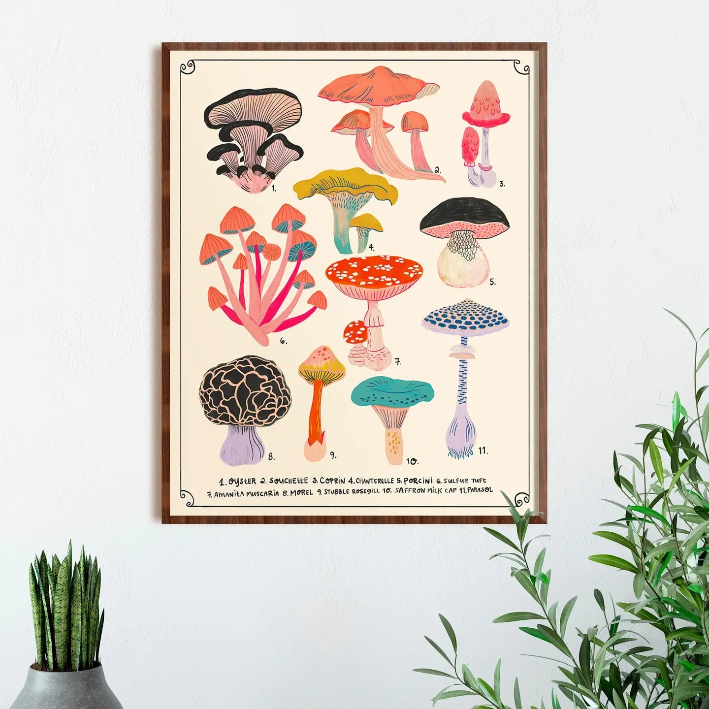 Types of Mushrooms Art Print