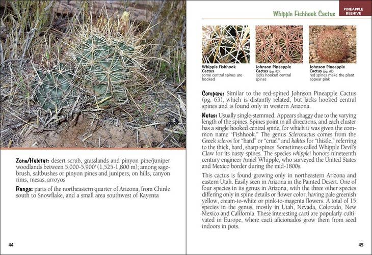 Cacti of Arizona Field Guide