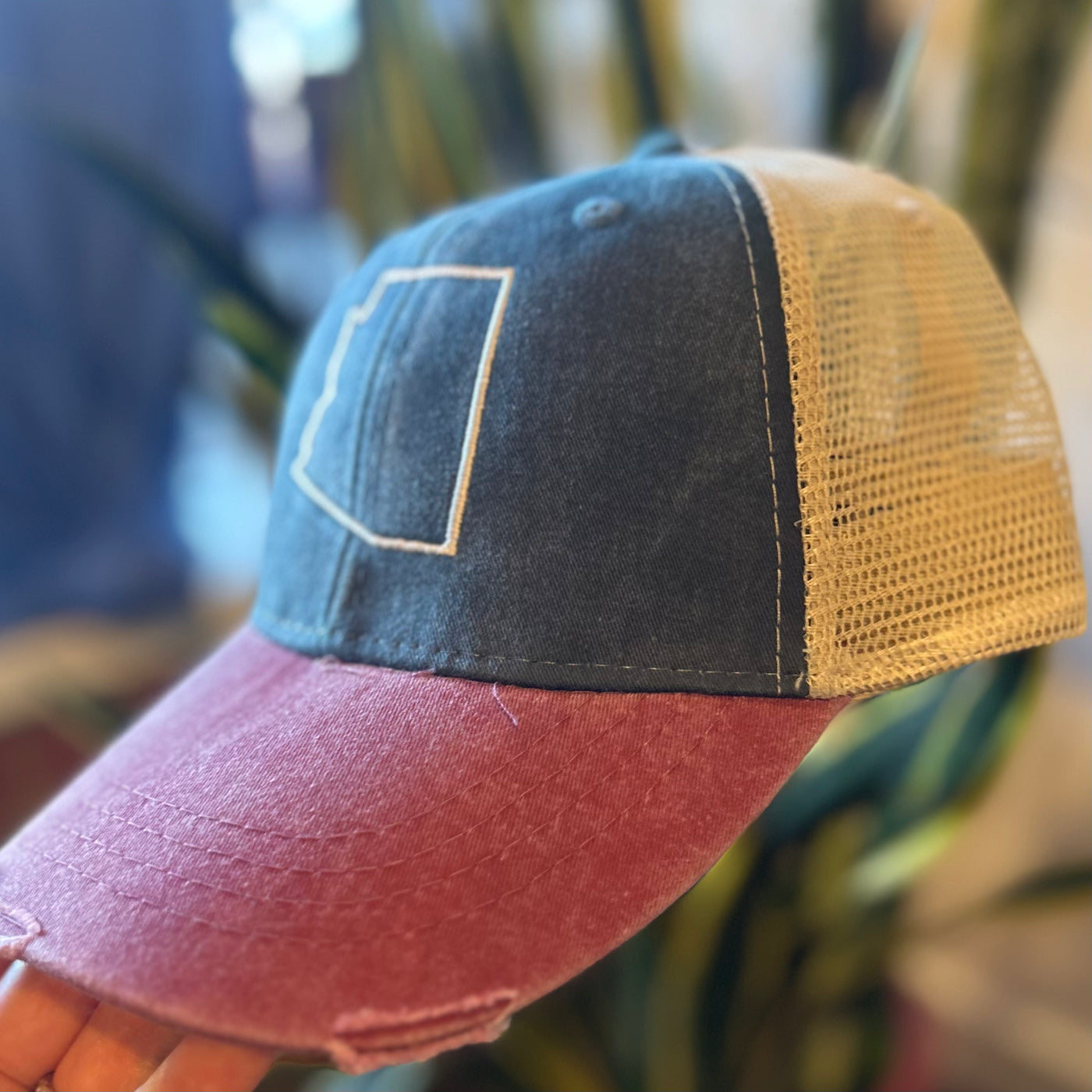 AZ State Outline Distressed Trucker