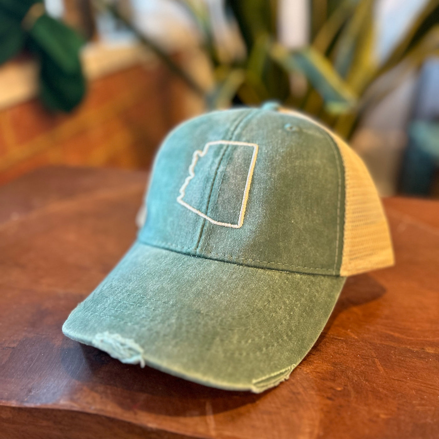 AZ State Outline Distressed Trucker