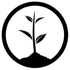 Donation to One Tree Planted