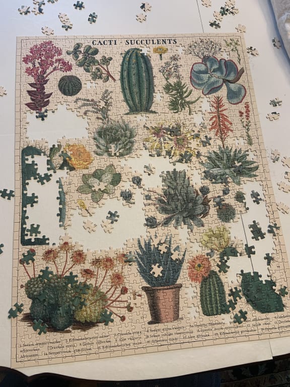 Cacti & Succulents Vintage Puzzle