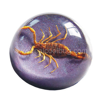 Golden Scorpion Large Dome Paper Weight