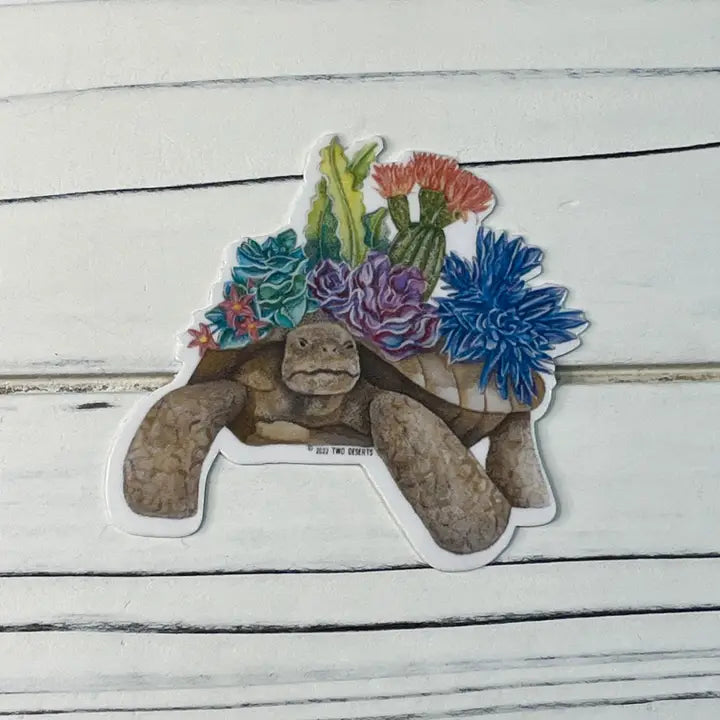 Succulent Tortoise Sticker