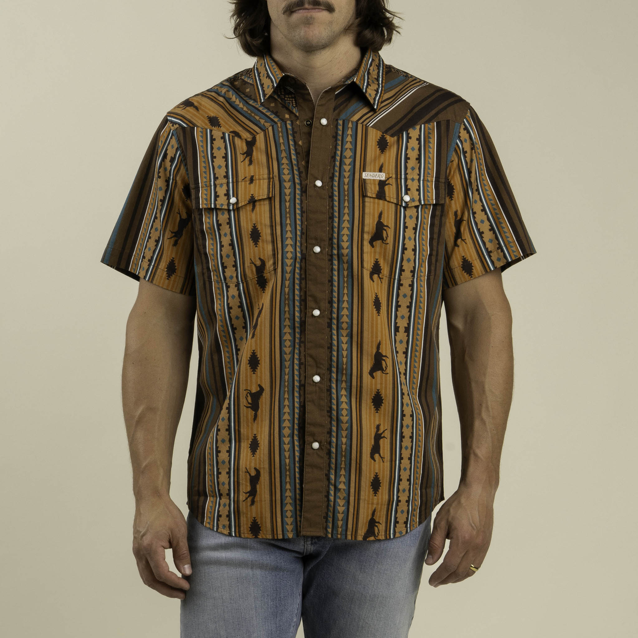 Serape Pearl Snap Button Up - Western Stripe