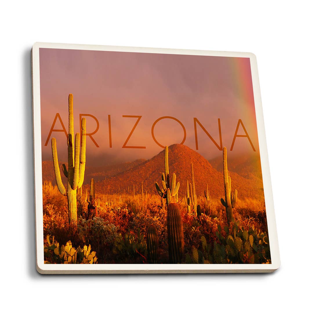 Arizona Cactus & Rainbow Photograph Coaster