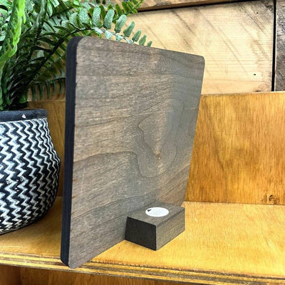 Wood Cactus Shelf Decor 4 x 4