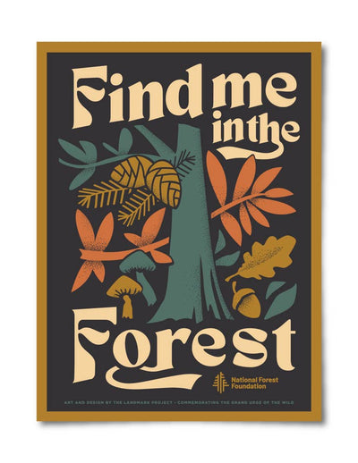 Find Me in the Forest Poster - 12 x 16