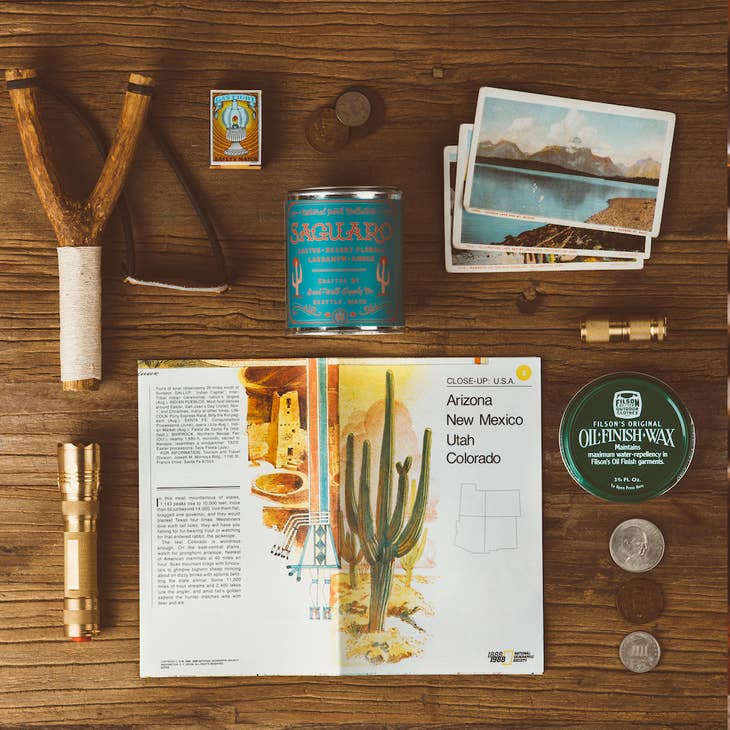 Saguaro National Park 1/2 Pint Candle