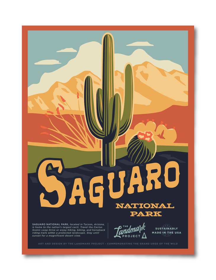 Saguaro National Park Poster - 12 x 16