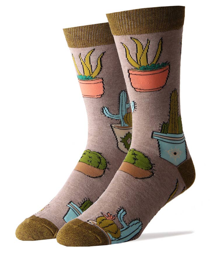Cactus Hugs Men's Socks