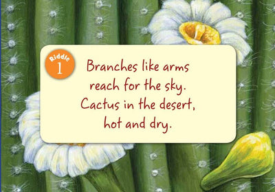 Little Arizona Toddler Book