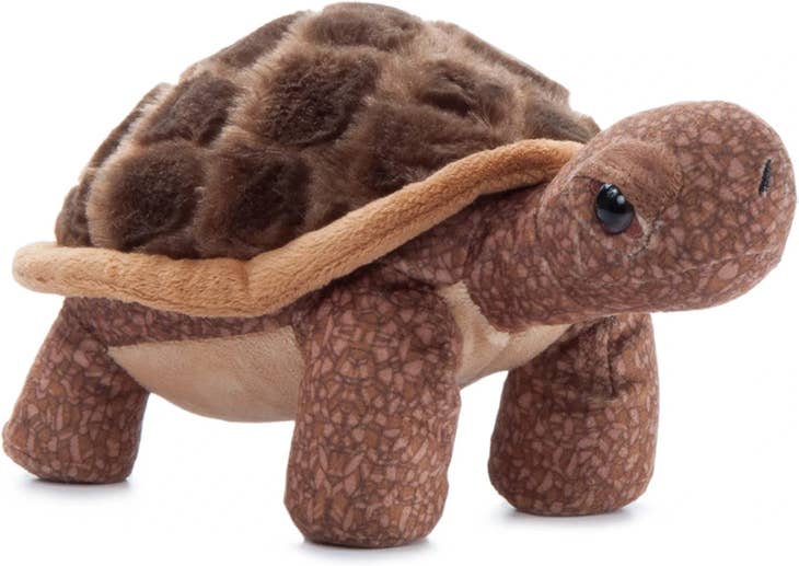 Desert Tortoise Plushie