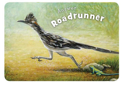 Little Arizona Toddler Book