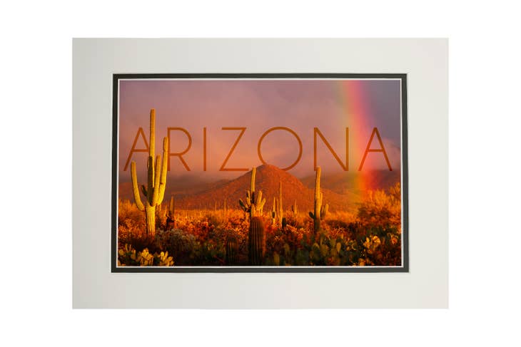 Arizona Cactus & Rainbow 8 x 10 Art Print