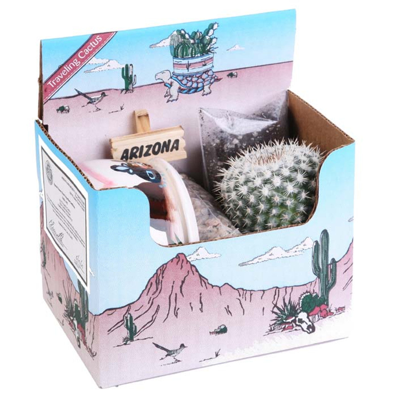 Cactus Garden Kit