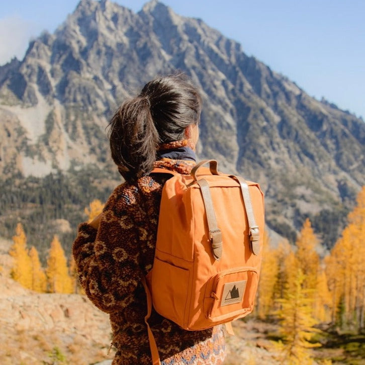 Classic Adventure Backpack