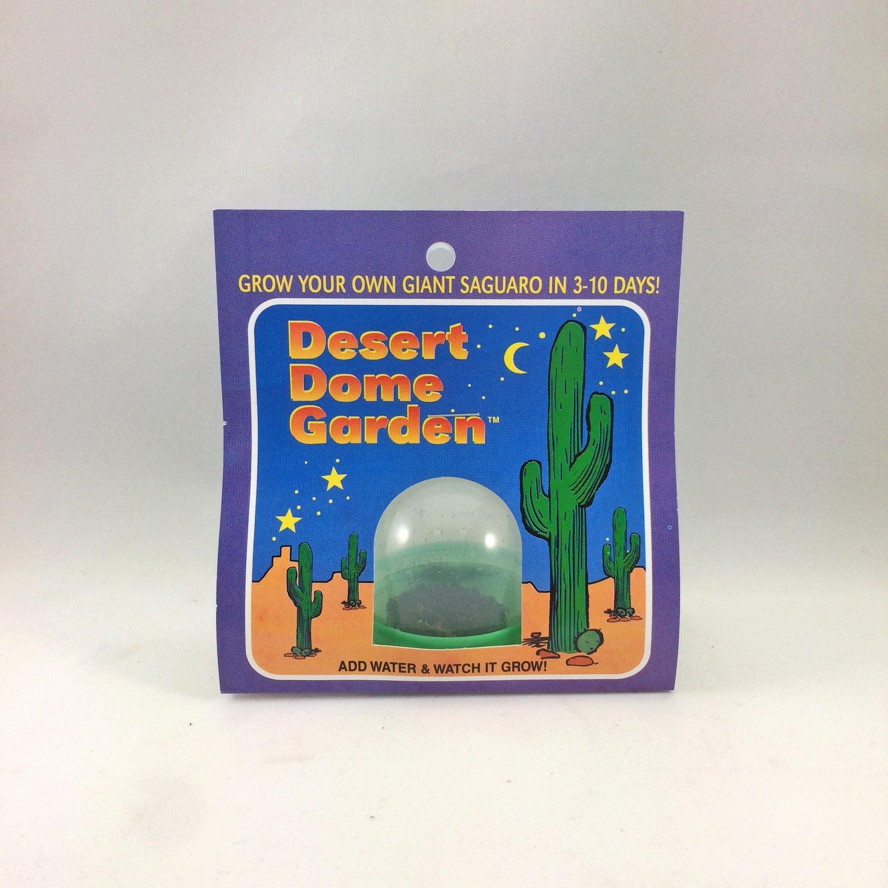 Saguaro Dome Garden