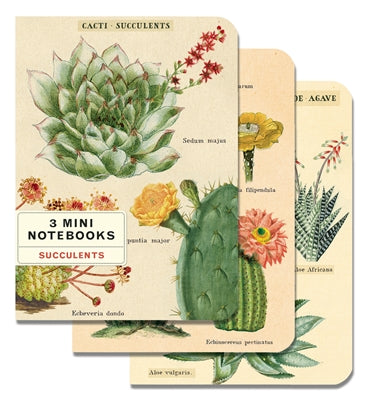 Succulents Vintage Mini Notebooks