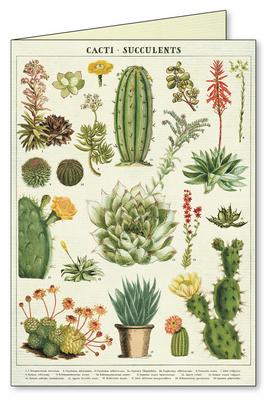 Cacti & Succulents Boxed Notecard Set