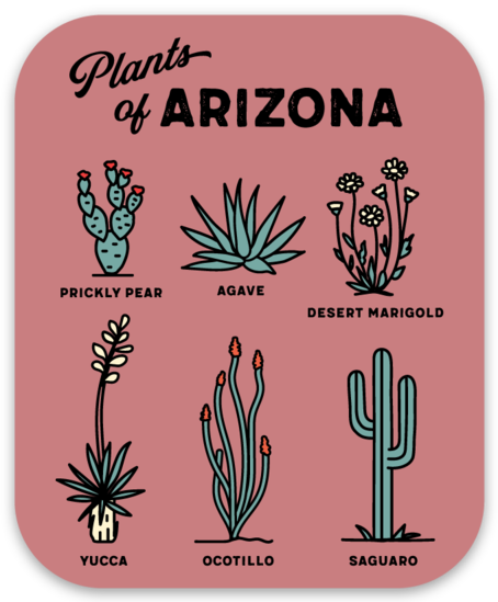 Plants of Arizona Sticker