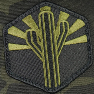 The Military Sentinel Patch