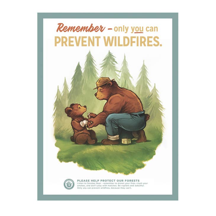 Only You Can Prevent Wildfires Poster - 12 x 16