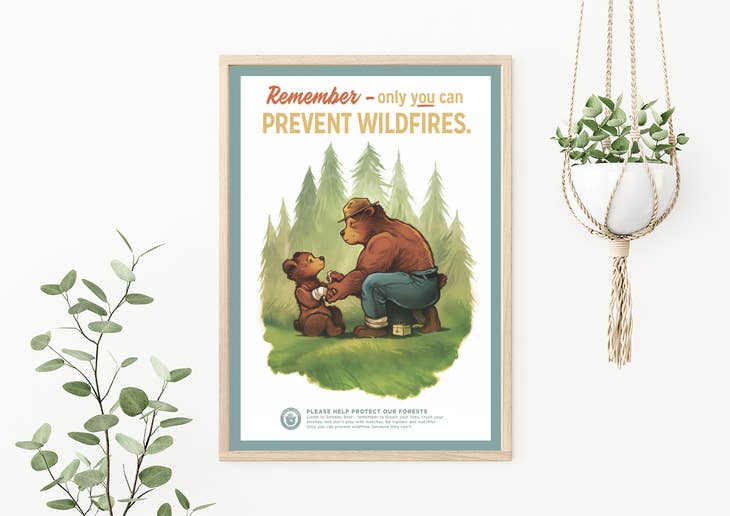Only You Can Prevent Wildfires Poster - 12 x 16