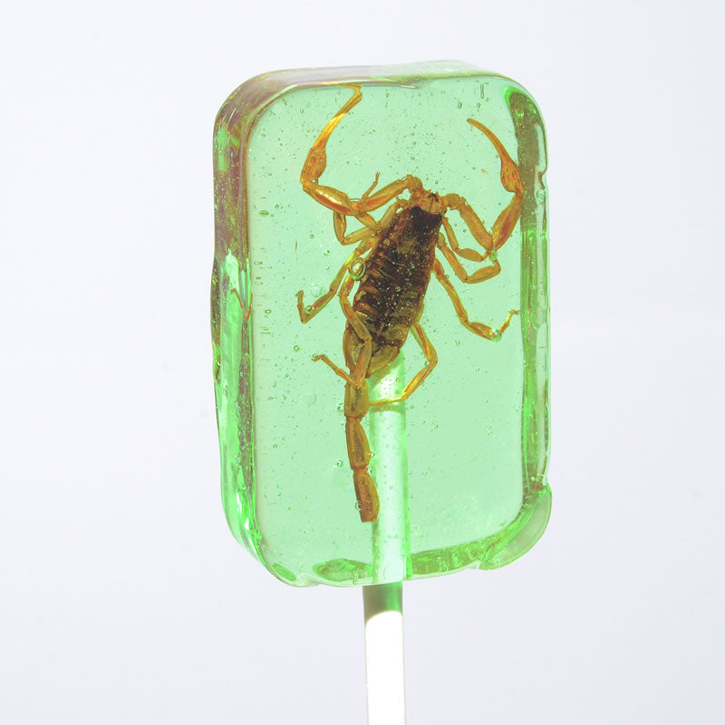 Scorpion Sucker