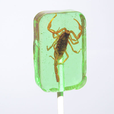 Scorpion Sucker