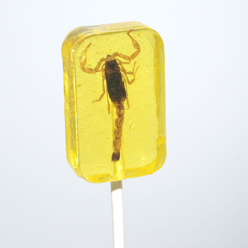 Scorpion Sucker